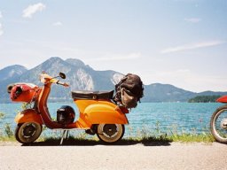 ... wer ist der schönste Roller im ganzen Land?