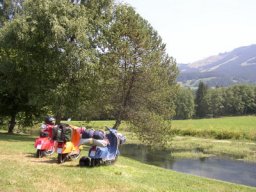 Ist die Natur nicht schön... mit diesen drei Vespen.