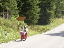 ... auf Wiedersehen!