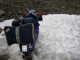 Bis er umfällt...!!!