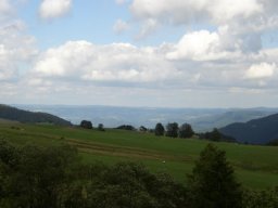 Schwarzwald.