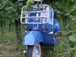 Unsere diesjährige Weinkönigin.