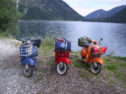 Blick auf den Plansee.