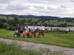 Auf der grünen Wiese.