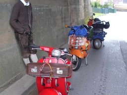 Alle Schäfchen im Trocknen! 