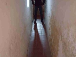 Museum Burg Wolfsegg.