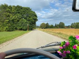 Blumenstrauß im Cockpit.