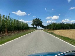 Vorbei an den Kornfeldern.